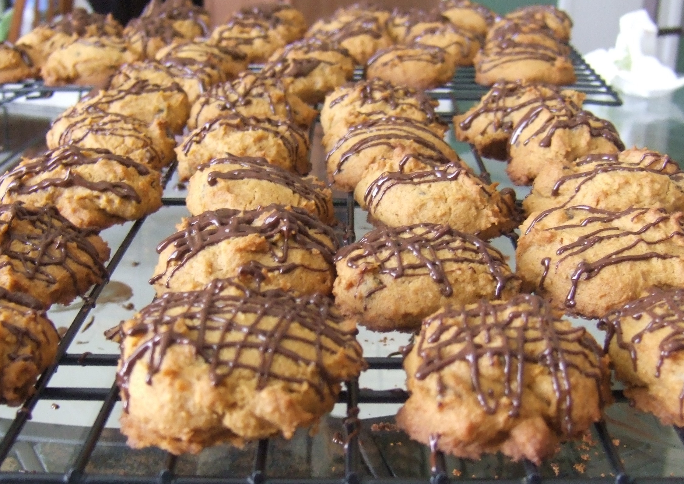 Chocolate Chip Harvest Cookies